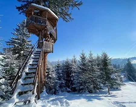 гостинний двір карпатія, بيت خشبي *