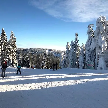 гостинний двір карпатія, Hytte *