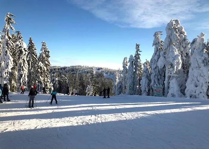 гостинний двір карпатія, Lodge *
